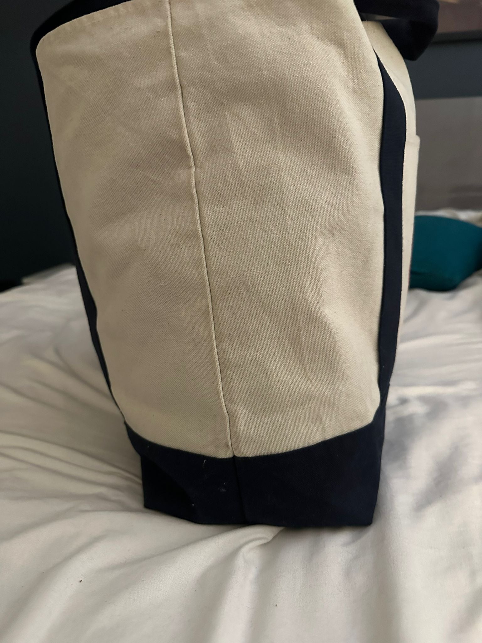 Trader Joe's Canvas Tote Bag with Navy Blue Handles