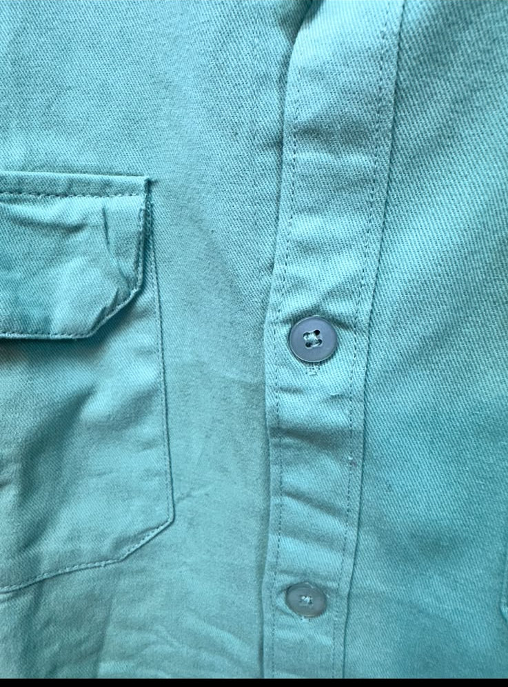 POIMONI Men's Mint Green Full Sleeve Casual Shirt