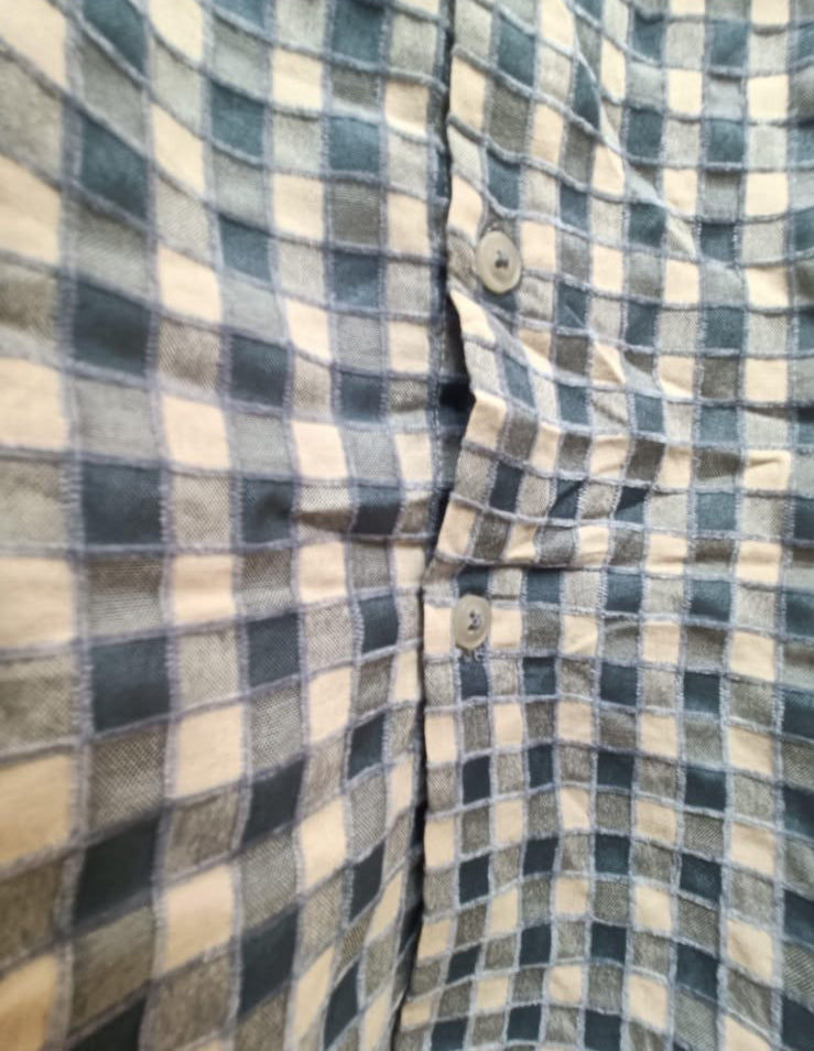 NEXT LEVEL Men's Blue and White Checkered Long Sleeve Shirt