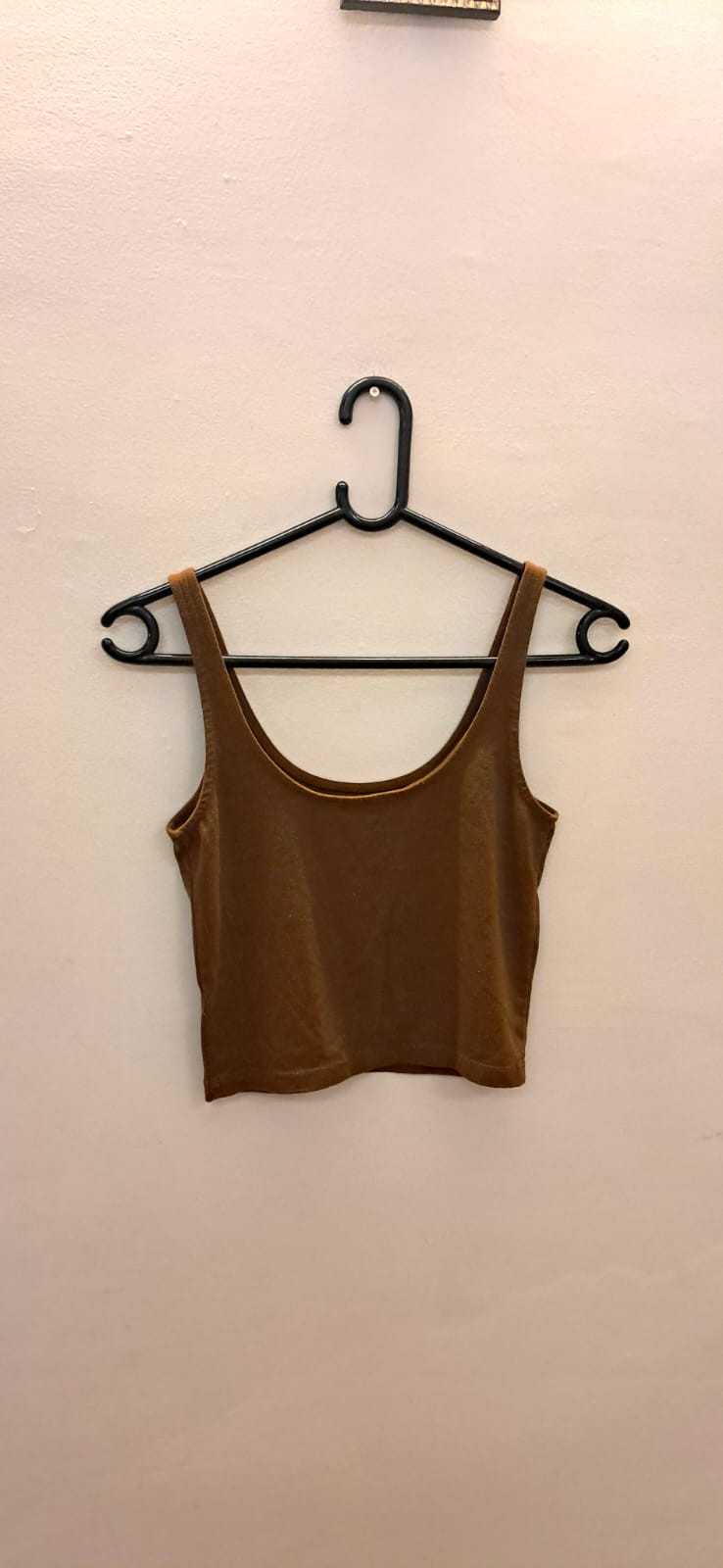 Forever 21 Women's Brown Crop Top